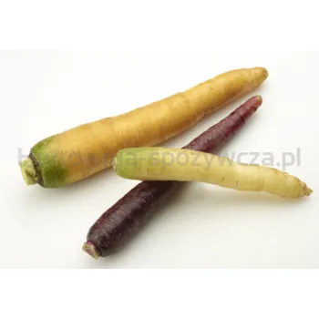 Marchew Mini Kolor Portugalia 200G