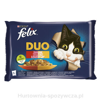 Felix Fantastic Duo Mp Mięso 4X85G = 340G