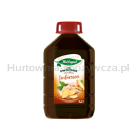 Herbapol OWOCOWA SPIŻARNIA Imbirowa 3,1 l.