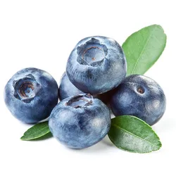 Borówka Amerykańska Chile 500G