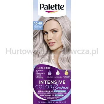 Palette Farba Chłodny Srebrzysty Blond 10-19