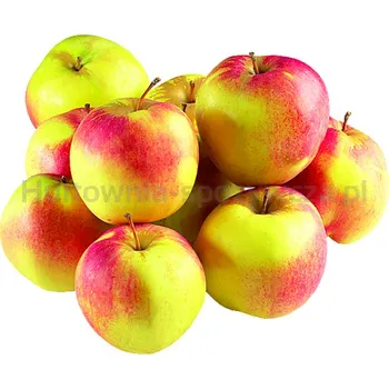 Jabłka Ligol Klasa I Polska 12Kg