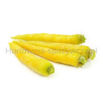 Marchew Żółta Holandia (Kg)