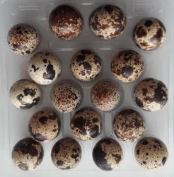 Jaja przepiórcze 18 szt.