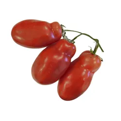 Pomidor San Marzano Czerwony Klasa I Włochy 1Kg
