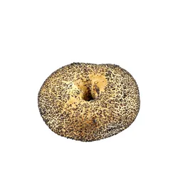 Put.Bajgiel Z Makiem 80G Odp.