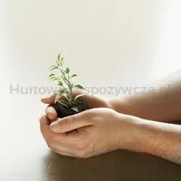 Karteczki samoprzylepne ekologiczne POST-IT® (653-1T), 38x51mm, 24x100 kart., żółte - 9