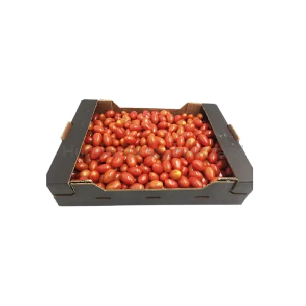 Pomidor Daktylowy Czerwony Klasa I Włochy 3Kg