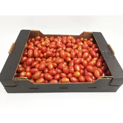 Pomidor Daktylowy Czerwony Klasa I Włochy 3Kg