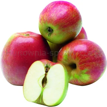 Jabłka Szion Klasa I Polska 3Kg