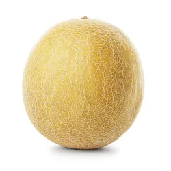 Melon Galia Brazylia 1Szt