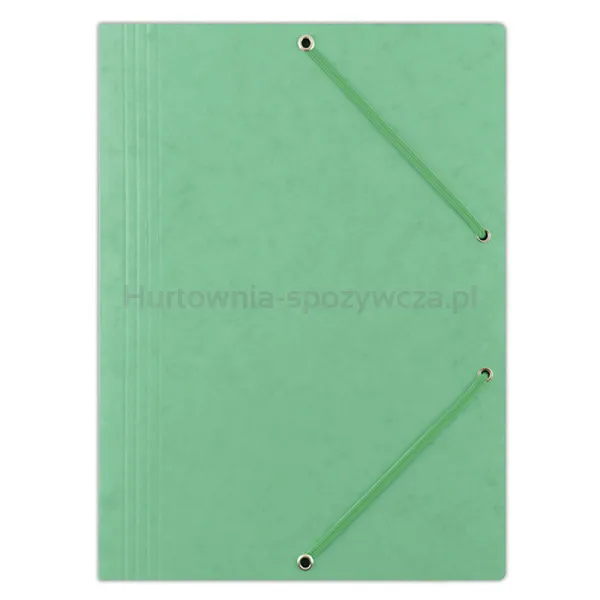 Donau Teczka Z Gumką Preszpan, A4, 390Gsm, 3-Skrz., Jasnozielona 