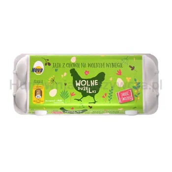 Nova Jaja z chowu na wolnym wybiegu klasa L x 10 sztuk