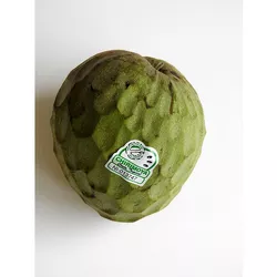 Cherimoya 1SZT