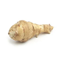 Topinambur Francja Luz