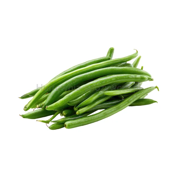 Fasolka Szparagowa Zielona Włochy 5 Kg