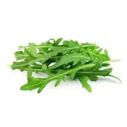 Bio Rukola Włochy 100G