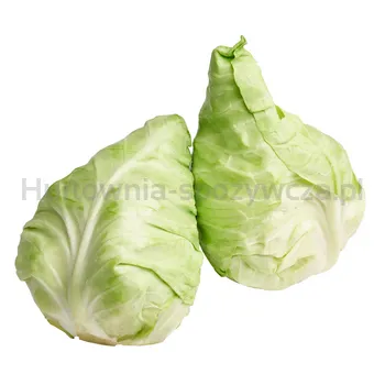 Kapusta Stożkowa Włochy (Szt)