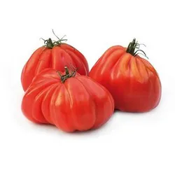 Pomid Bawol Serce Kl.I Wło kg