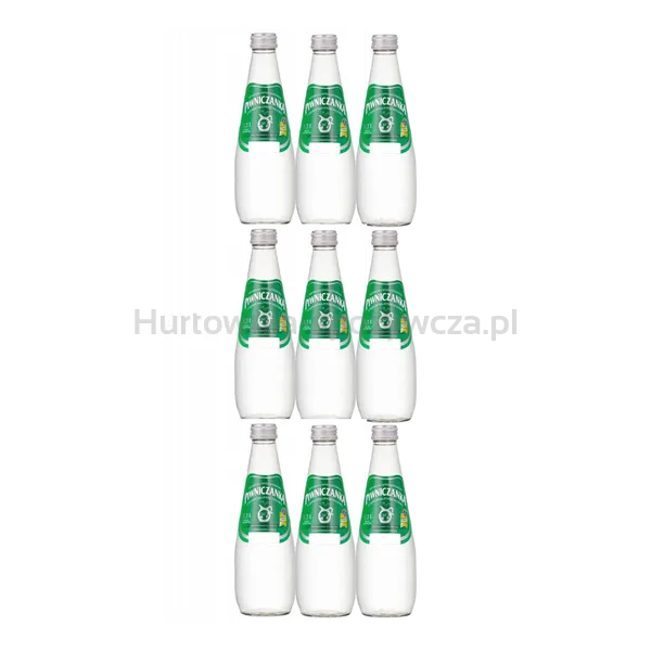 Naturalna woda mineralna  średnionasycona CO2 0,3l