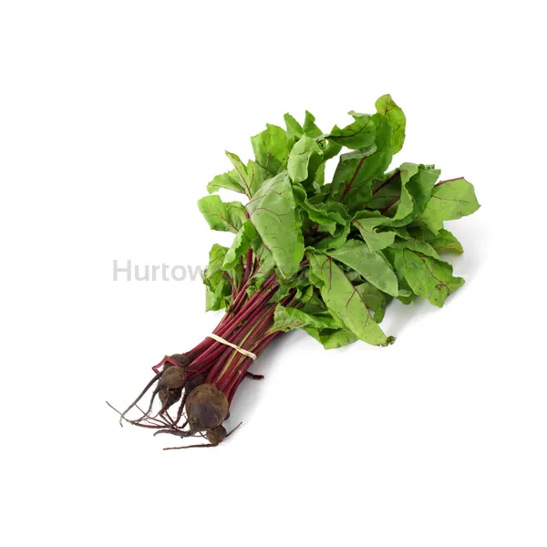 Botwina Pęczek Polska (Szt)