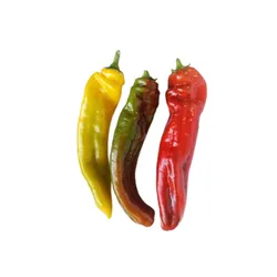 Papryka Słodka Palermo Mix Klasa I Włochy 4,5Kg