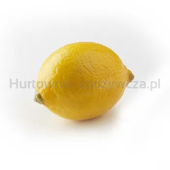 Cytryna Na Sok Klasa Ii Turcja 5Kg