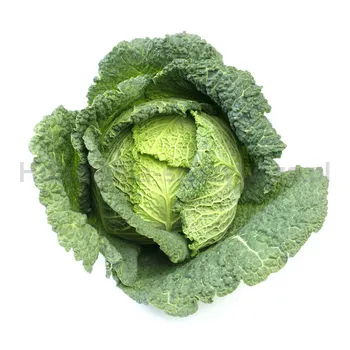 Kapusta Włoska Włochy (Szt)