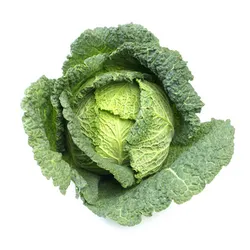 Kapusta Włoska Włochy (Szt)