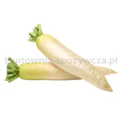 Rzodkiew Biała kg