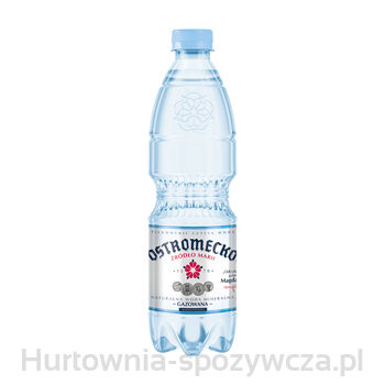 Ostromecko Naturalna Woda Mineralna Gazowana Niskosodowa Butelka 0,5 L Pet