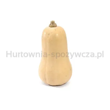 Dynia Piżmowa Włochy 10Kg
