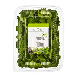Kolendra Cięta Hiszpania 200G Baziółka