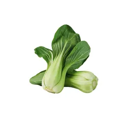 Kapusta Pak Choi Włochy 2szt.
