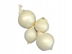 Cebula Biała Hiszpania 1kg