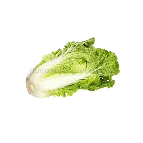 Kapusta Pekińska kg