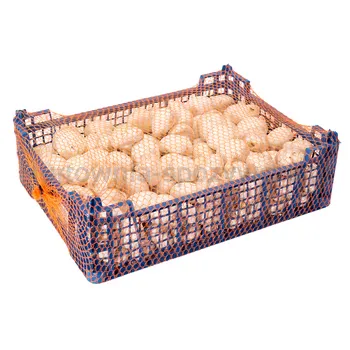 Pieczarka Horeca Polska 3Kg