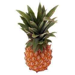 Ananas Baby Mauritius szt.
