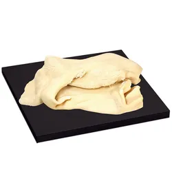 Flaki Wołowe Bielone, Mięsne Specjały Vacuum Ok. 3 Kg