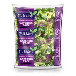 Sałatka Fit & Easy Weekend Catering 500G