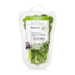 Baziółka Kolendra Cięta 30G 