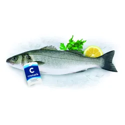 Labraks PatroSzampony 250-330G