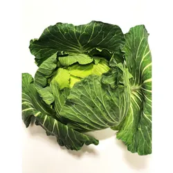 Kapusta Biała Wczesna (6) Włochy 1Szt