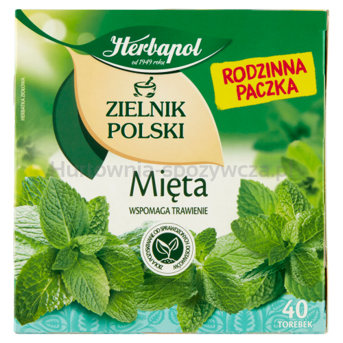 Herbapol Zielnik Polski Mięta 40Torebek X 2G