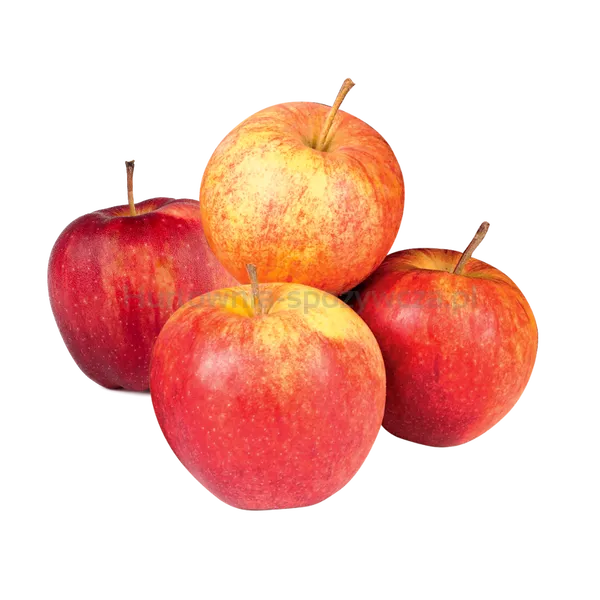 Jabłka Jonagored (Kg)