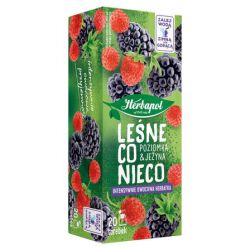 Herbapol Lublin Leśne co nieco 20 Torebek. x 2g