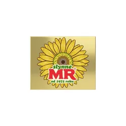 Mr Słynne Roślinne Kostka 250 G Bunge