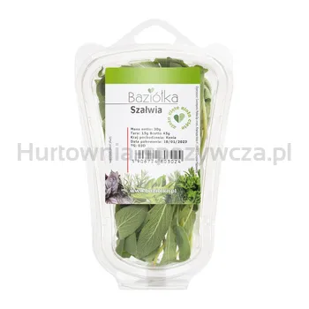 Baziółka Szałwia Cięta 30G 
