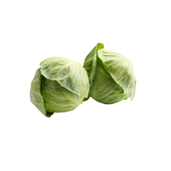 Kapusta Biała Polska 20Kg