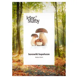 Leśne Skarby Bor...